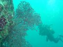 DSC00324.JPG