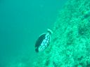 DSC00333.JPG