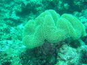 DSC00340.JPG