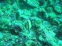 DSC00348.JPG