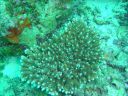 DSC00350.JPG