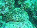 DSC00354.JPG