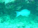 DSC00358.JPG