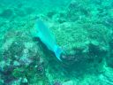 DSC00359.JPG