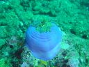 DSC00362.JPG