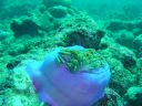 DSC00363.JPG