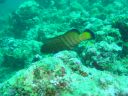 DSC00364.JPG