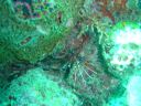 DSC00378.JPG