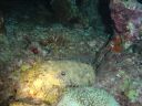 Dateiname=DSC00412.JPG
Dateigröße=523KB
Abmessungen: 1024x768
hinzugefügt am: 05. August 2014 DSC00412.JPG