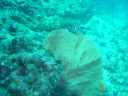 DSC00427.JPG