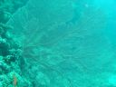 DSC00436.JPG