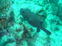 DSC00437.JPG