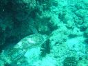DSC00439.JPG