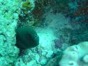 DSC00440.JPG