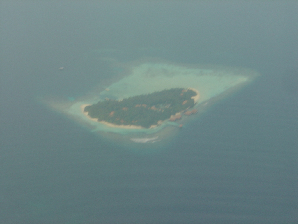 DSC00010.JPG