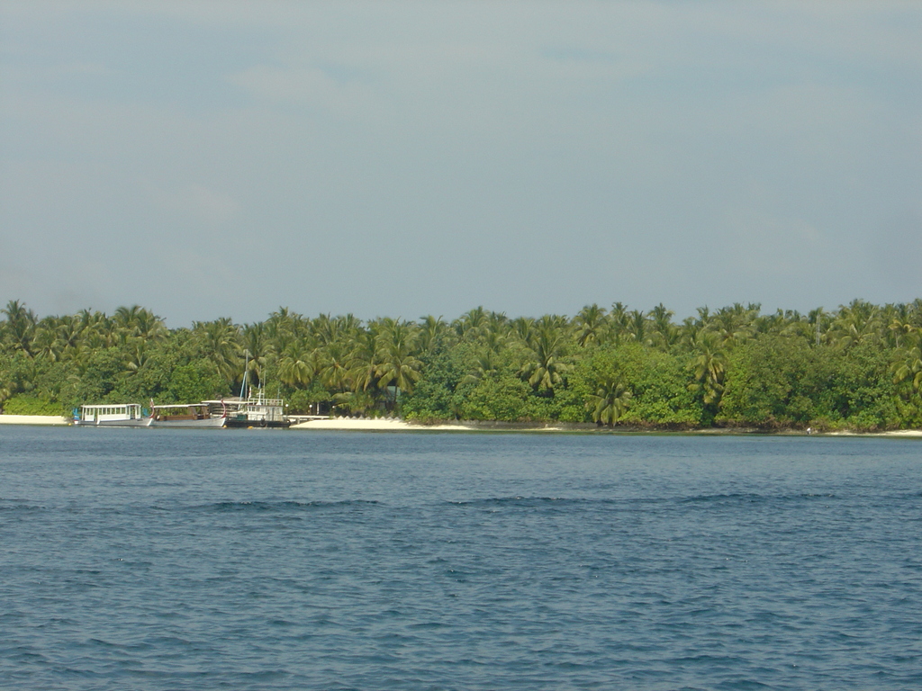 DSC00018.JPG