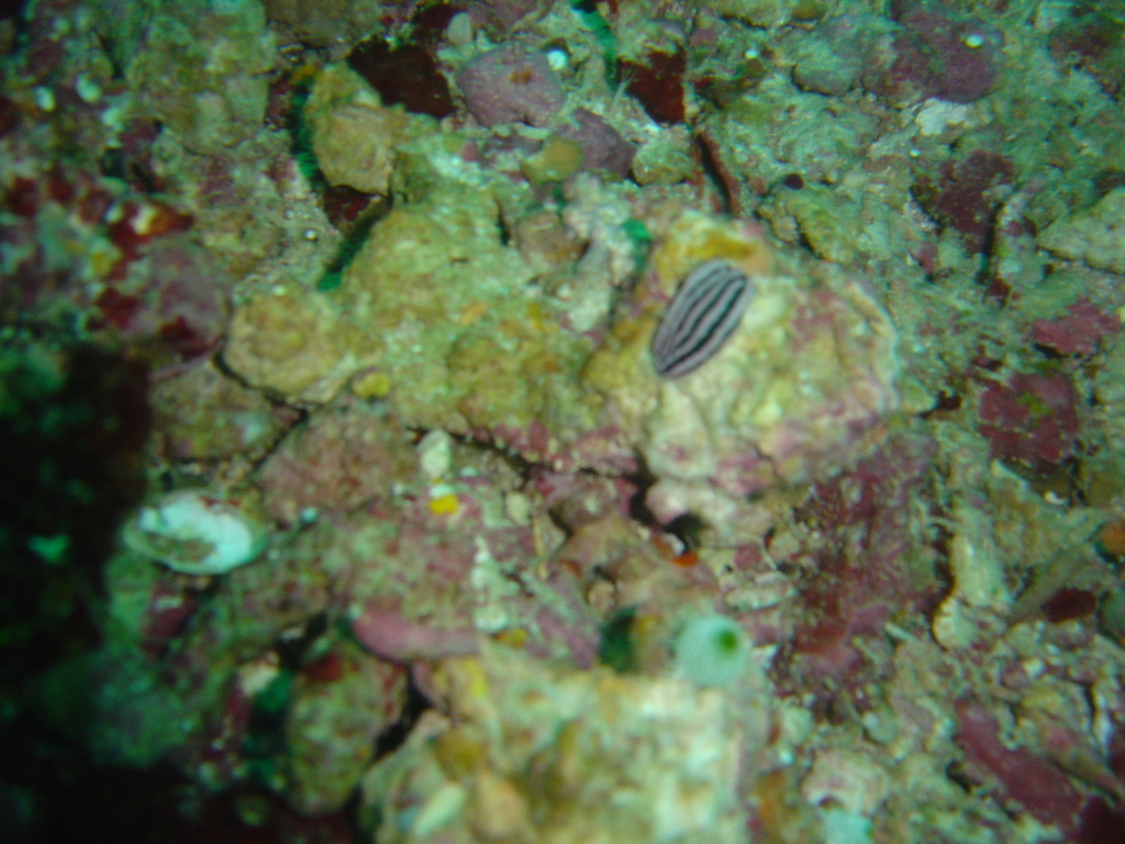 DSC00025.JPG