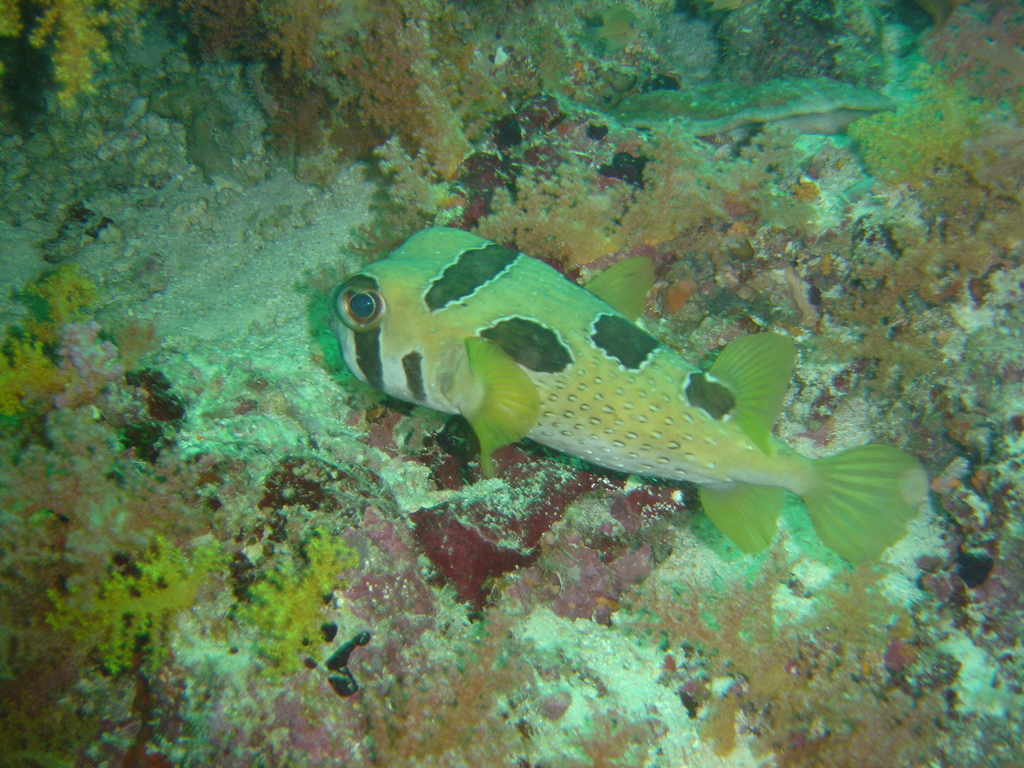 DSC00032.JPG
