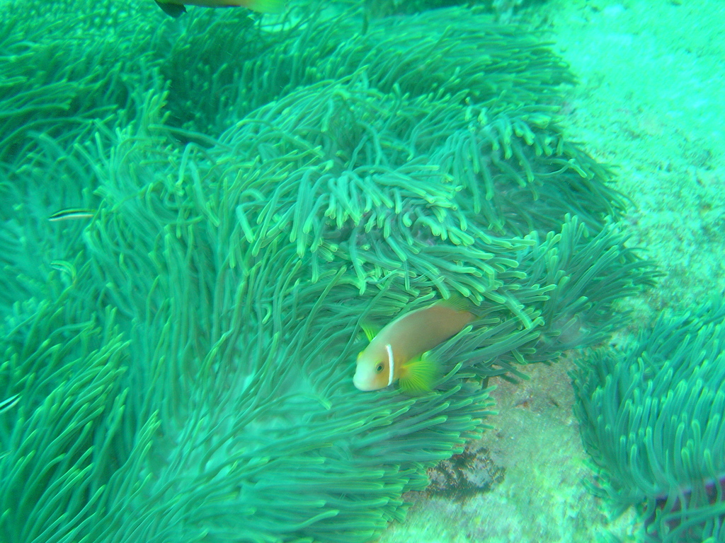 DSC00036.JPG