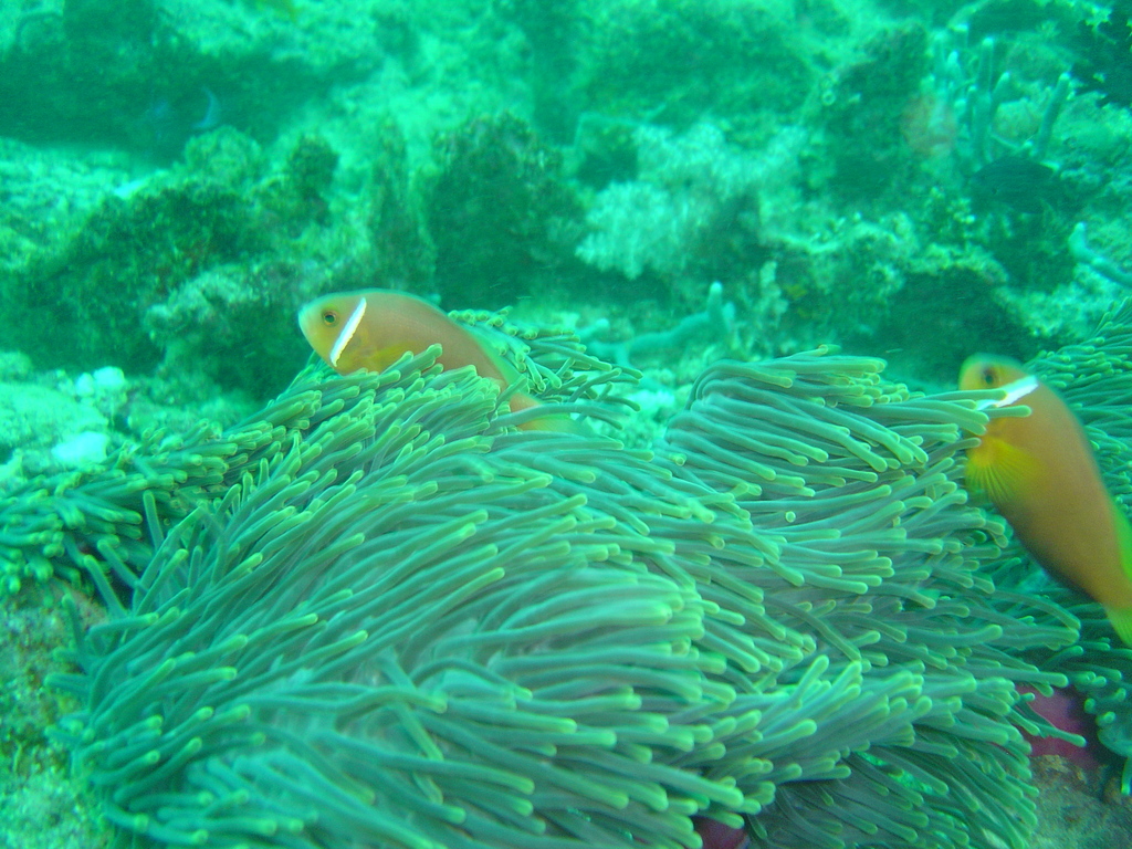 DSC00038.JPG