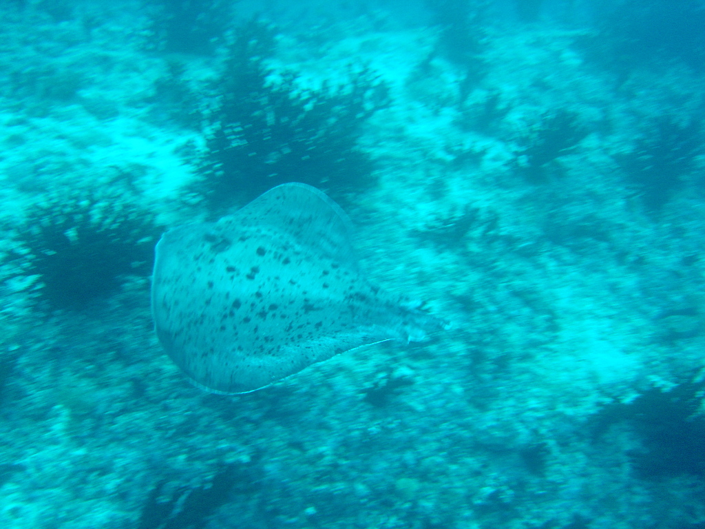 DSC00046.JPG
