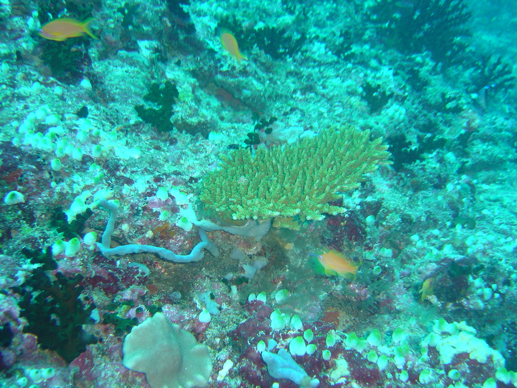 DSC00052.JPG