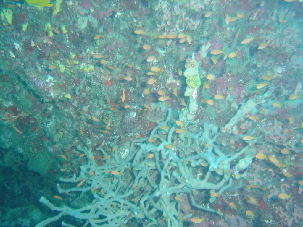 DSC00055.JPG
