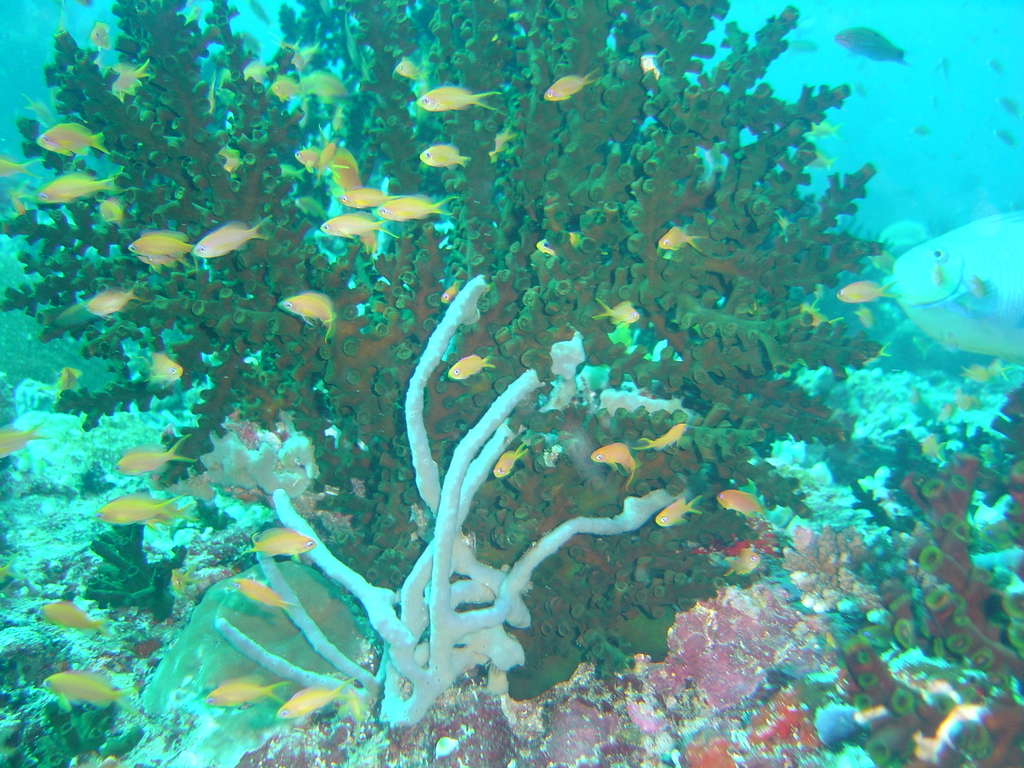 DSC00059.JPG