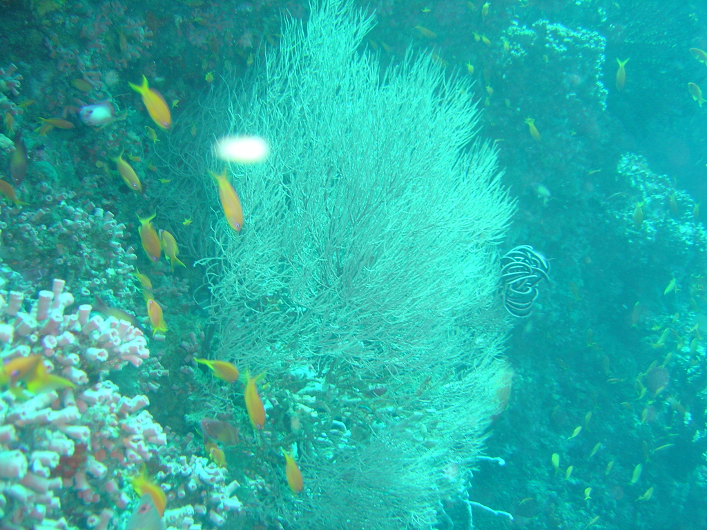 DSC00069.JPG