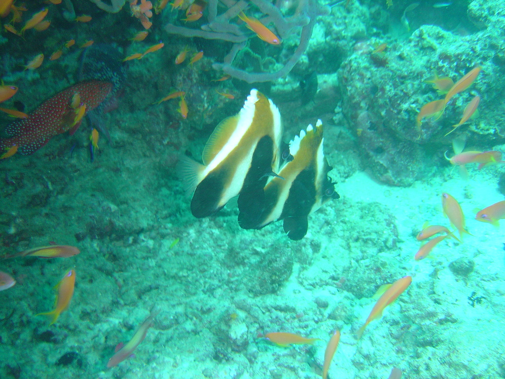 DSC00081.JPG