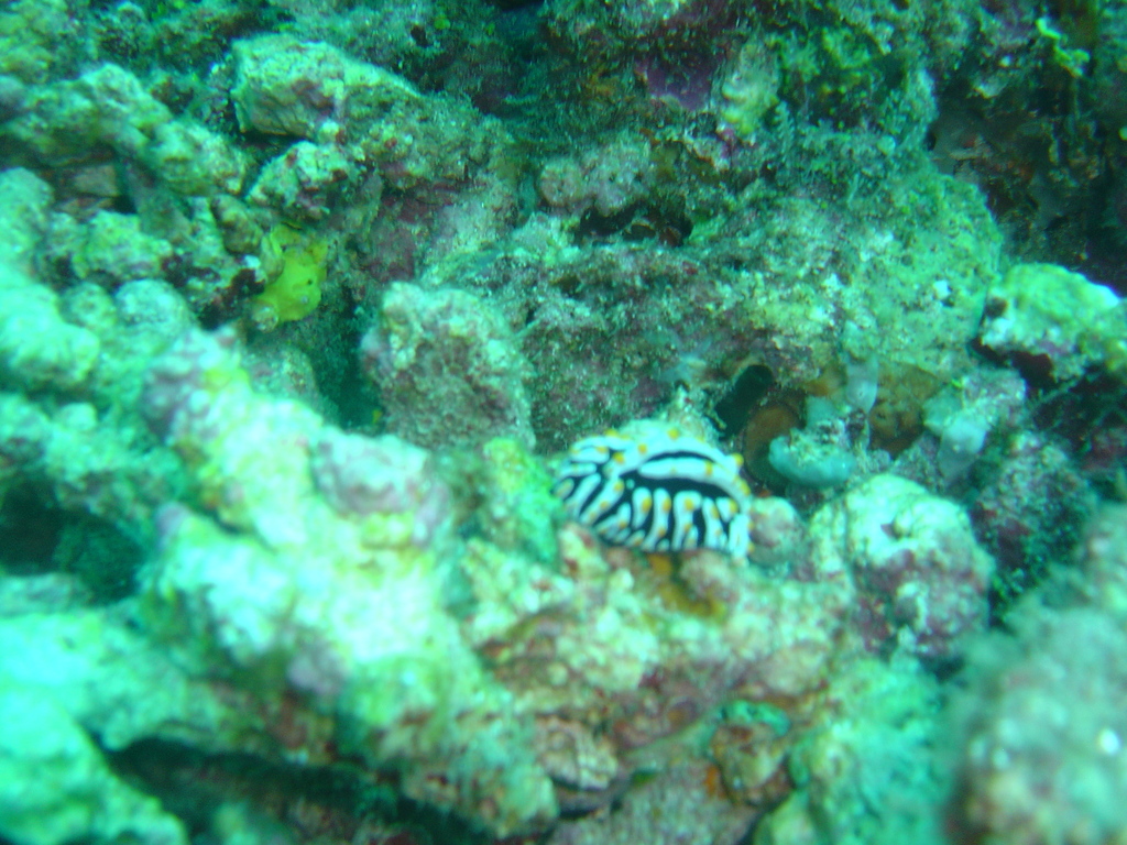 DSC00082.JPG