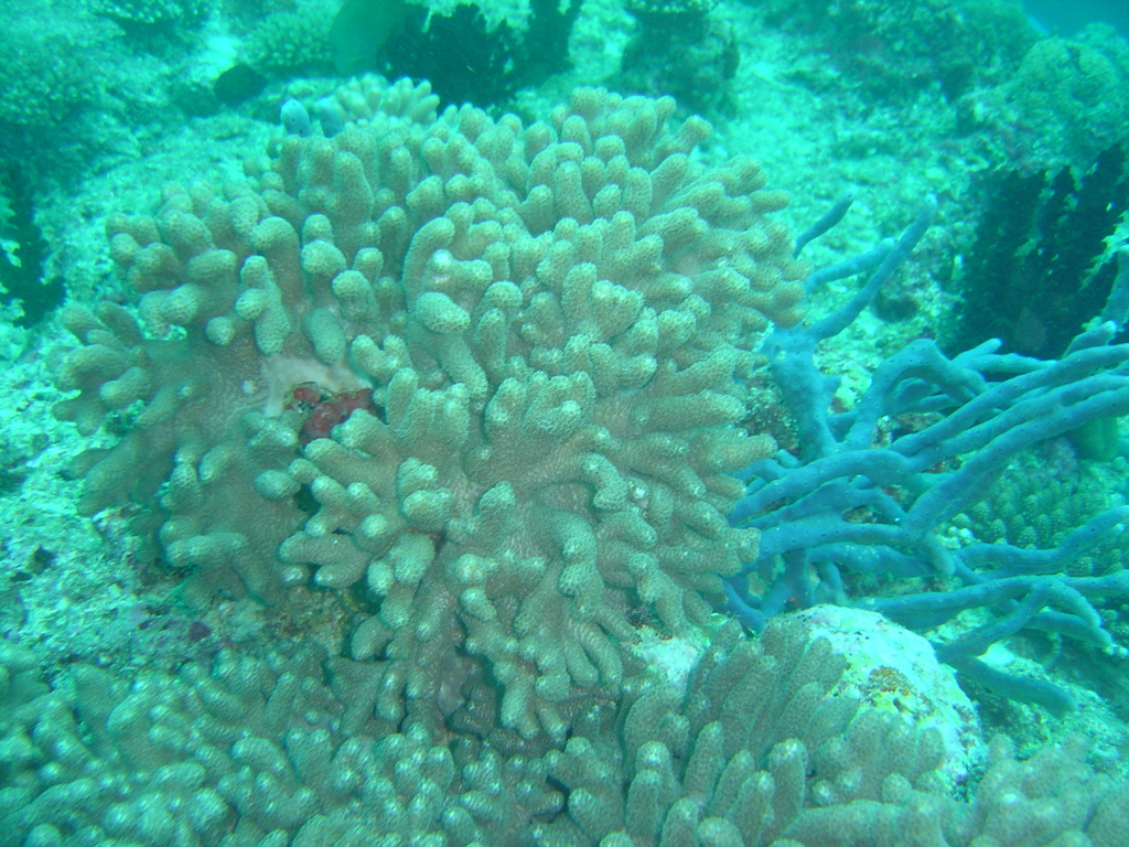 DSC00084.JPG