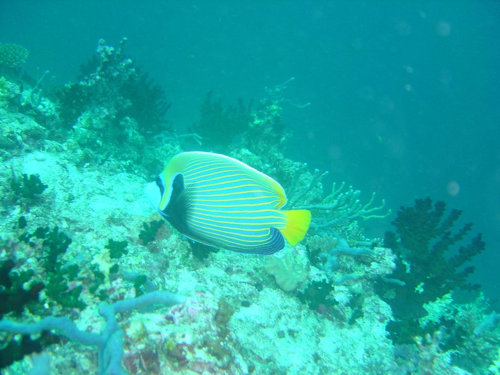DSC00087.JPG