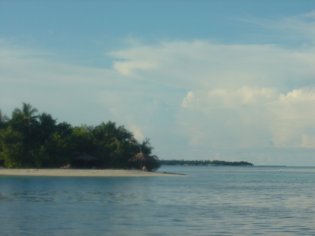 DSC00110.JPG