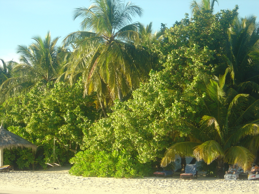 DSC00114.JPG