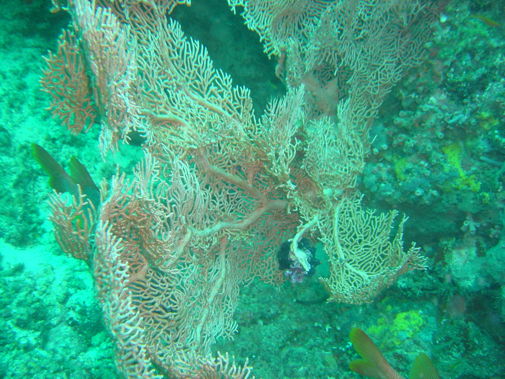 DSC00132.JPG
