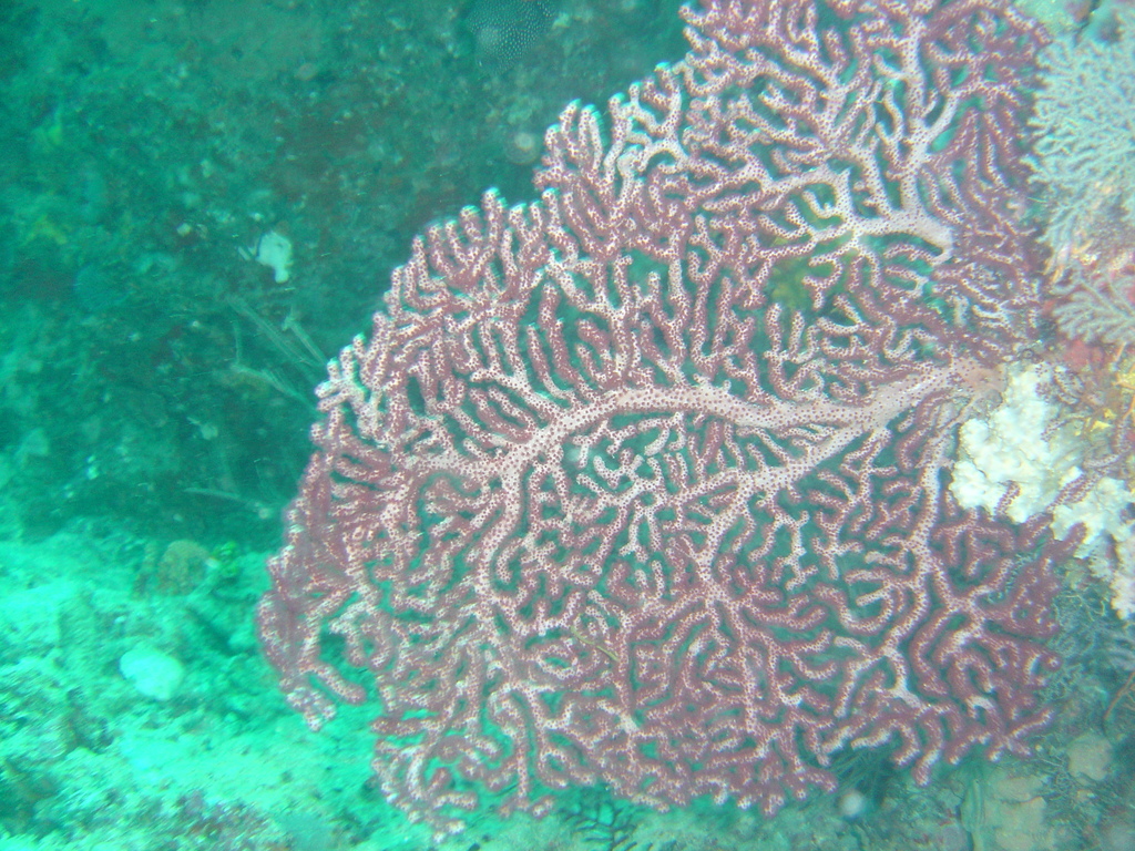 DSC00145.JPG
