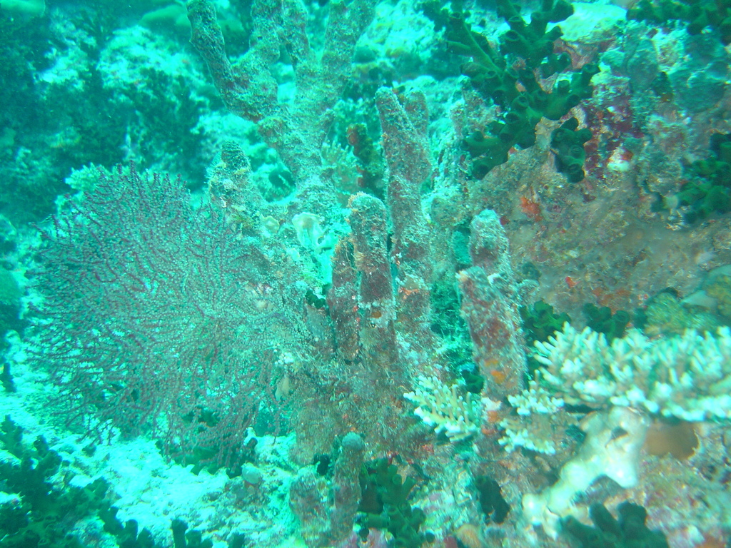 DSC00165.JPG
