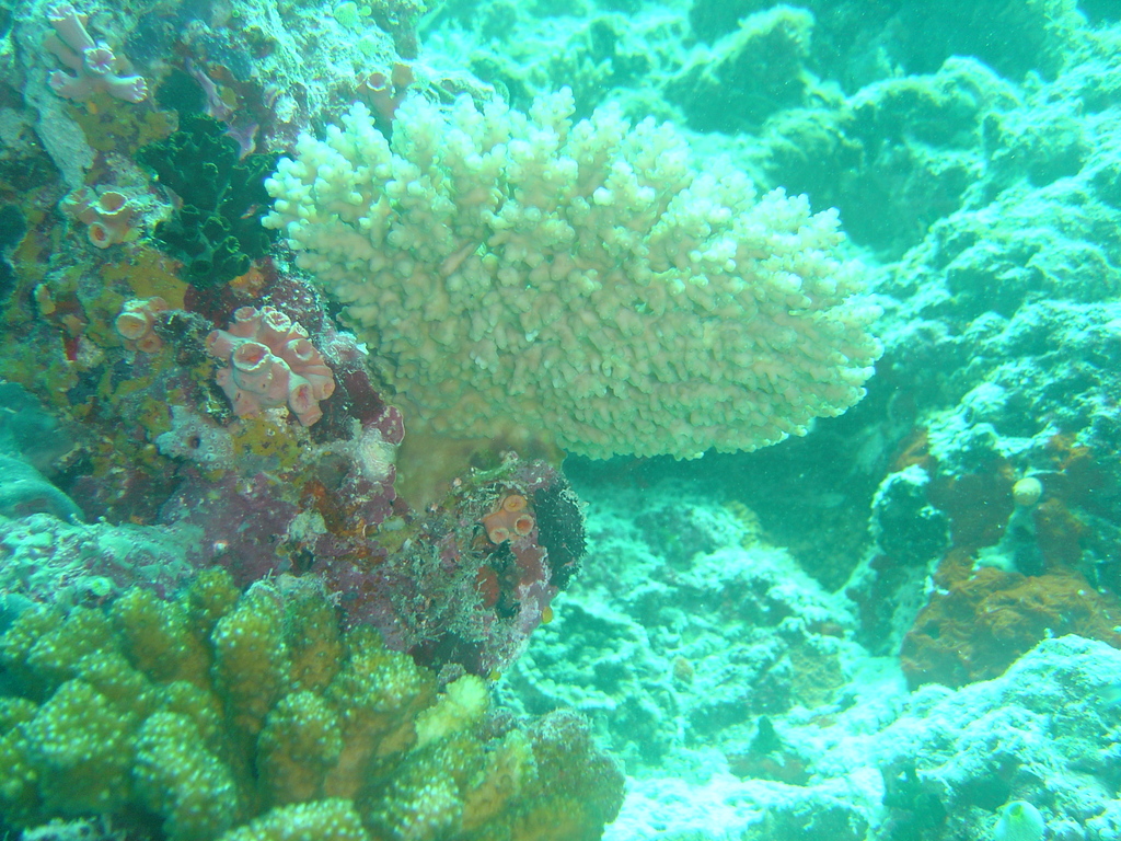 DSC00171.JPG