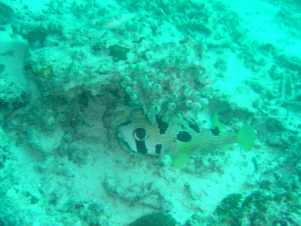 DSC00184.JPG