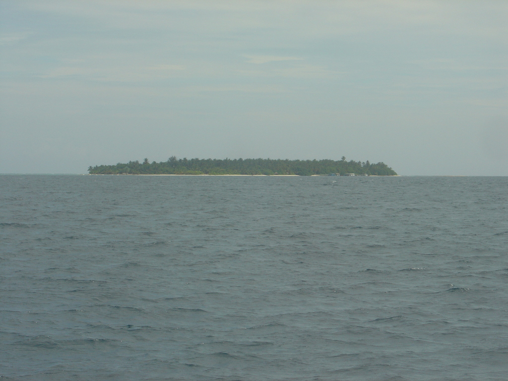 DSC00252.JPG