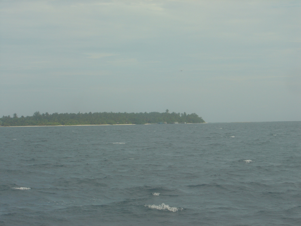 DSC00253.JPG