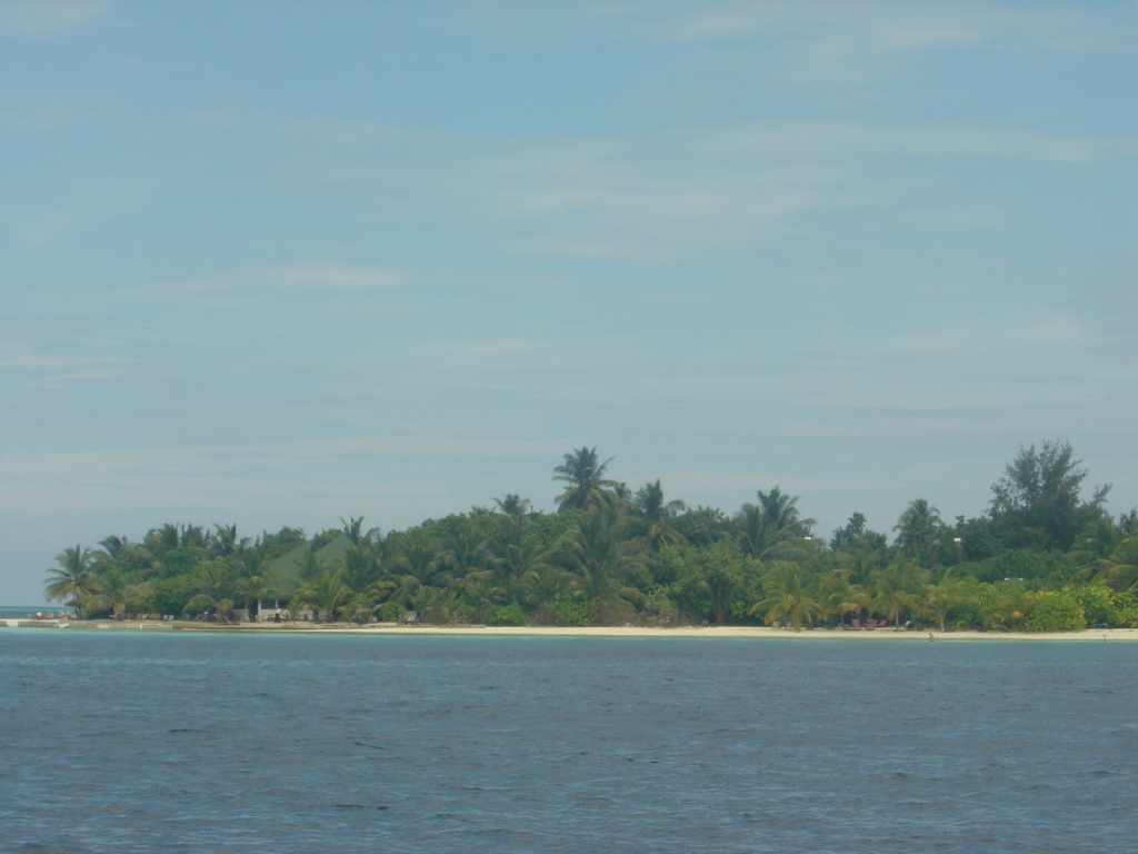 DSC00254.JPG