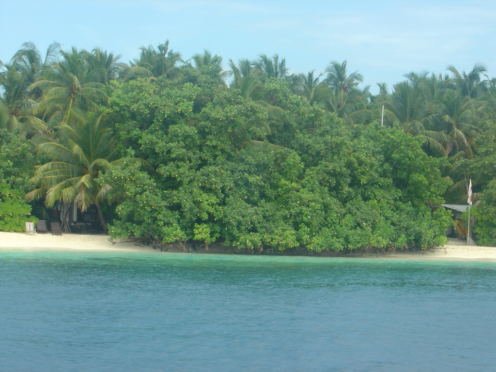 DSC00256.JPG
