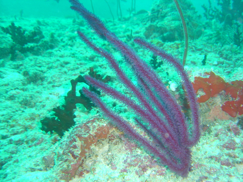 DSC00262.JPG