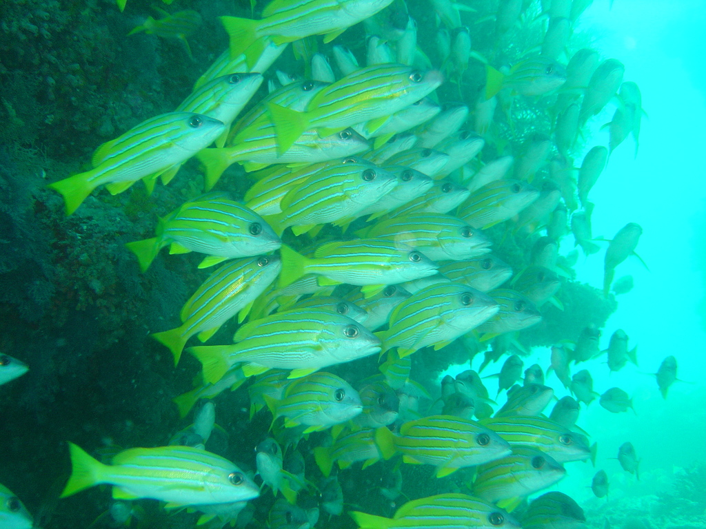 DSC00264.JPG