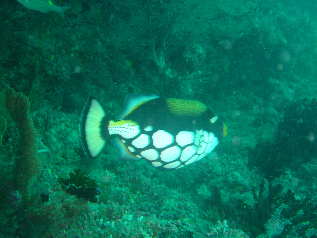 DSC00272.JPG