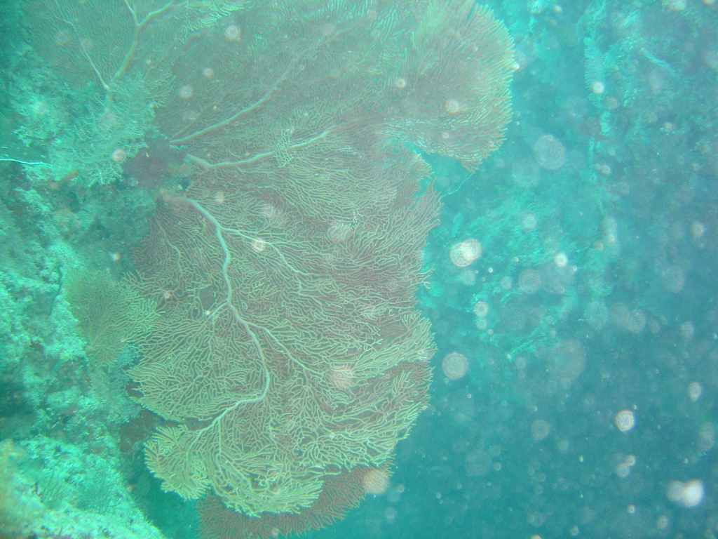 DSC00300.JPG