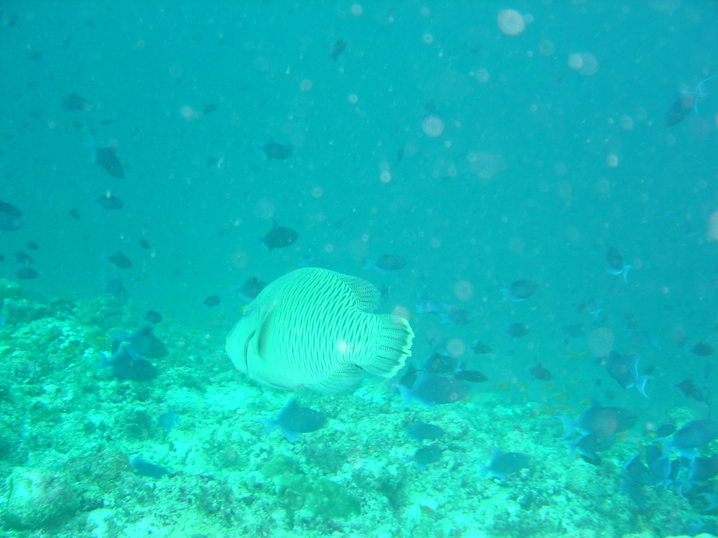 DSC00314.JPG