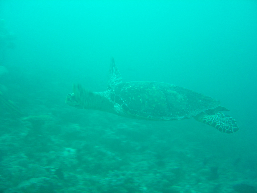DSC00341.JPG